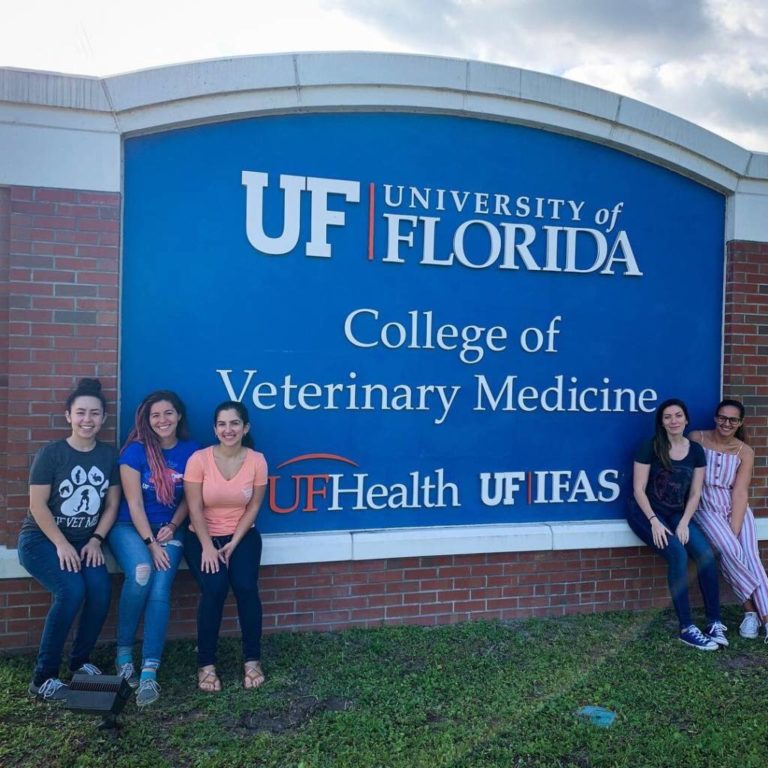 Finding my community in veterinary school VPNextGen