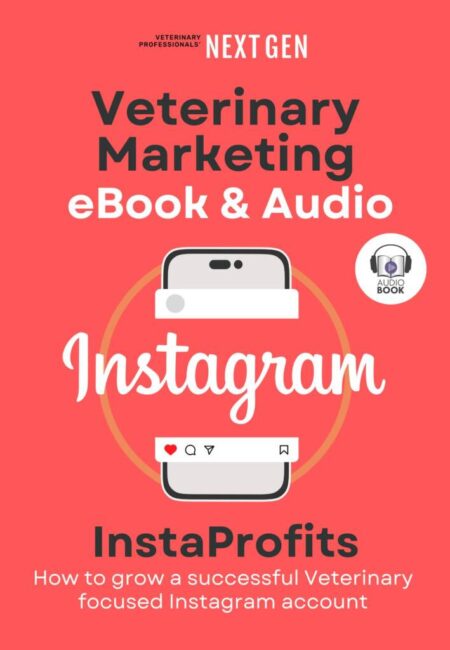 Cover_ebook_Instagram