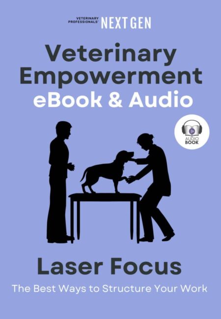 Cover_ebook_Laser_Focus