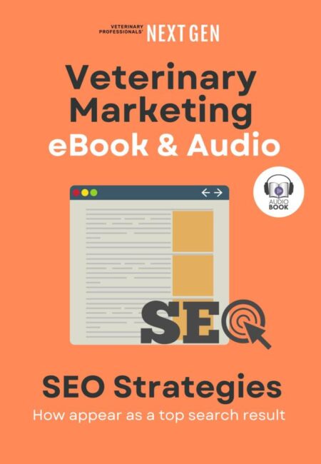 Cover_ebook_SEO