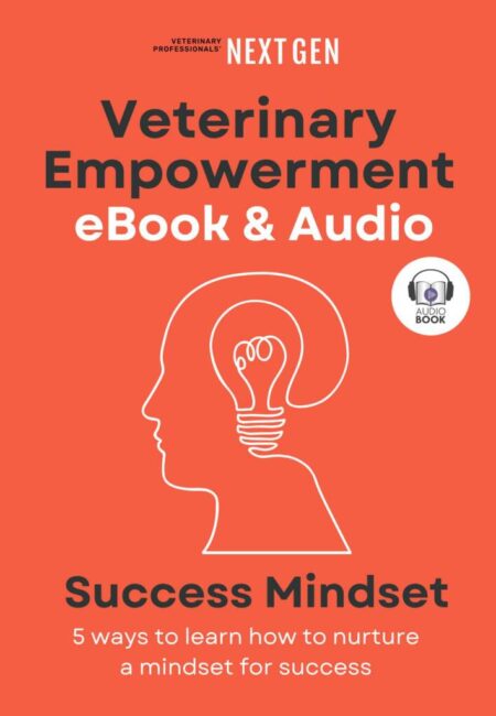 Ebook_success_mindset_covers